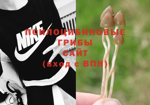 экстази Вяземский