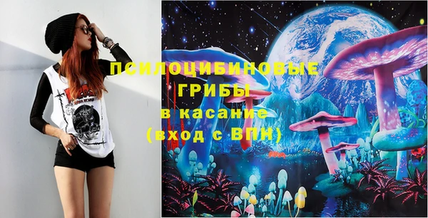 экстази Вяземский